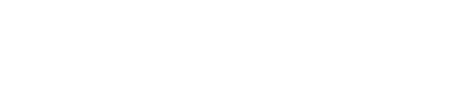 American University in Cairo
